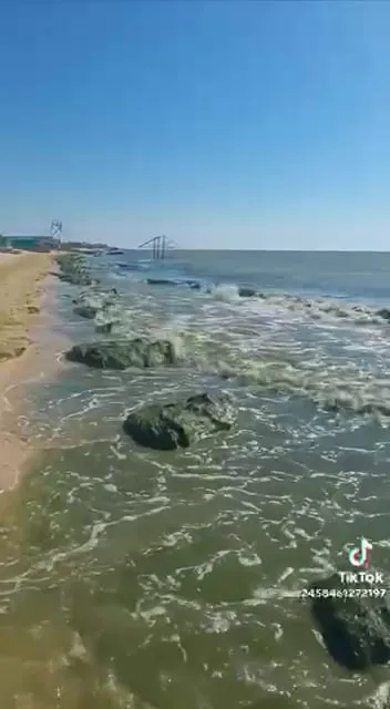 Кирилівку накрило водоростями